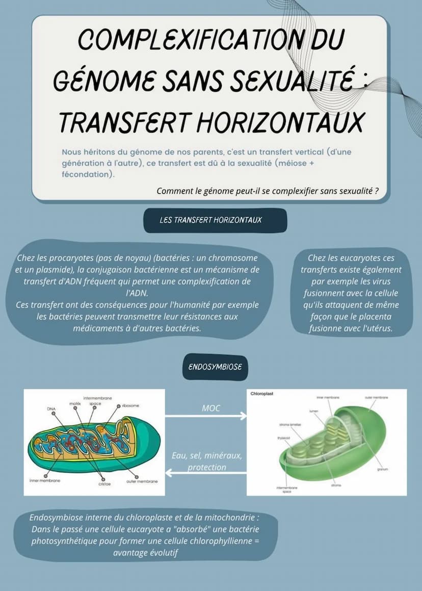 MD
CONSERVATION DES
GÉNOMES, CLONES
Mitose reproduction des cellules, = reproduction asexuée des
plantes
Les clones cellulaires viennent d'u