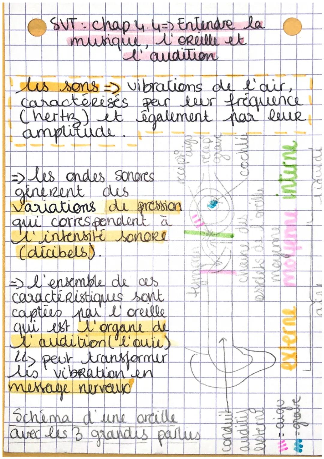 SVT: chap 4.4= Entendre la
musiqile, l'oreille et
I'audition

les sons vibrations de l'air,
Caractérisés par leur frequence
(hertz) et égale