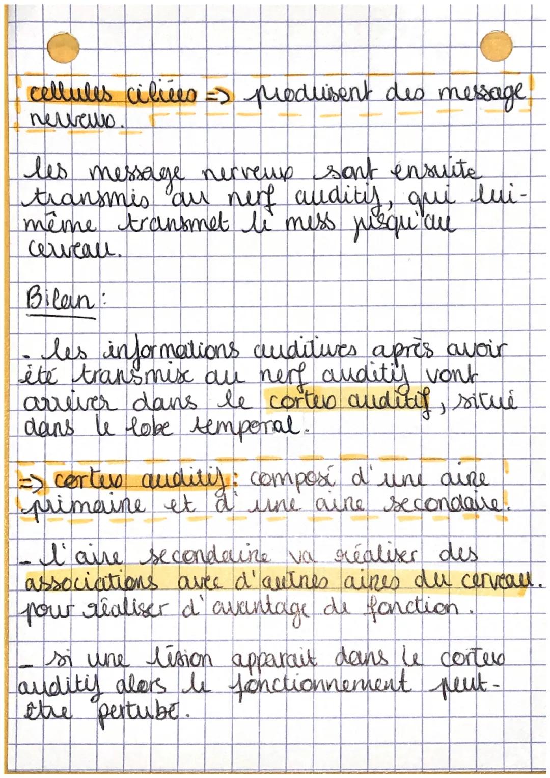 SVT: chap 4.4= Entendre la
musiqile, l'oreille et
I'audition

les sons vibrations de l'air,
Caractérisés par leur frequence
(hertz) et égale