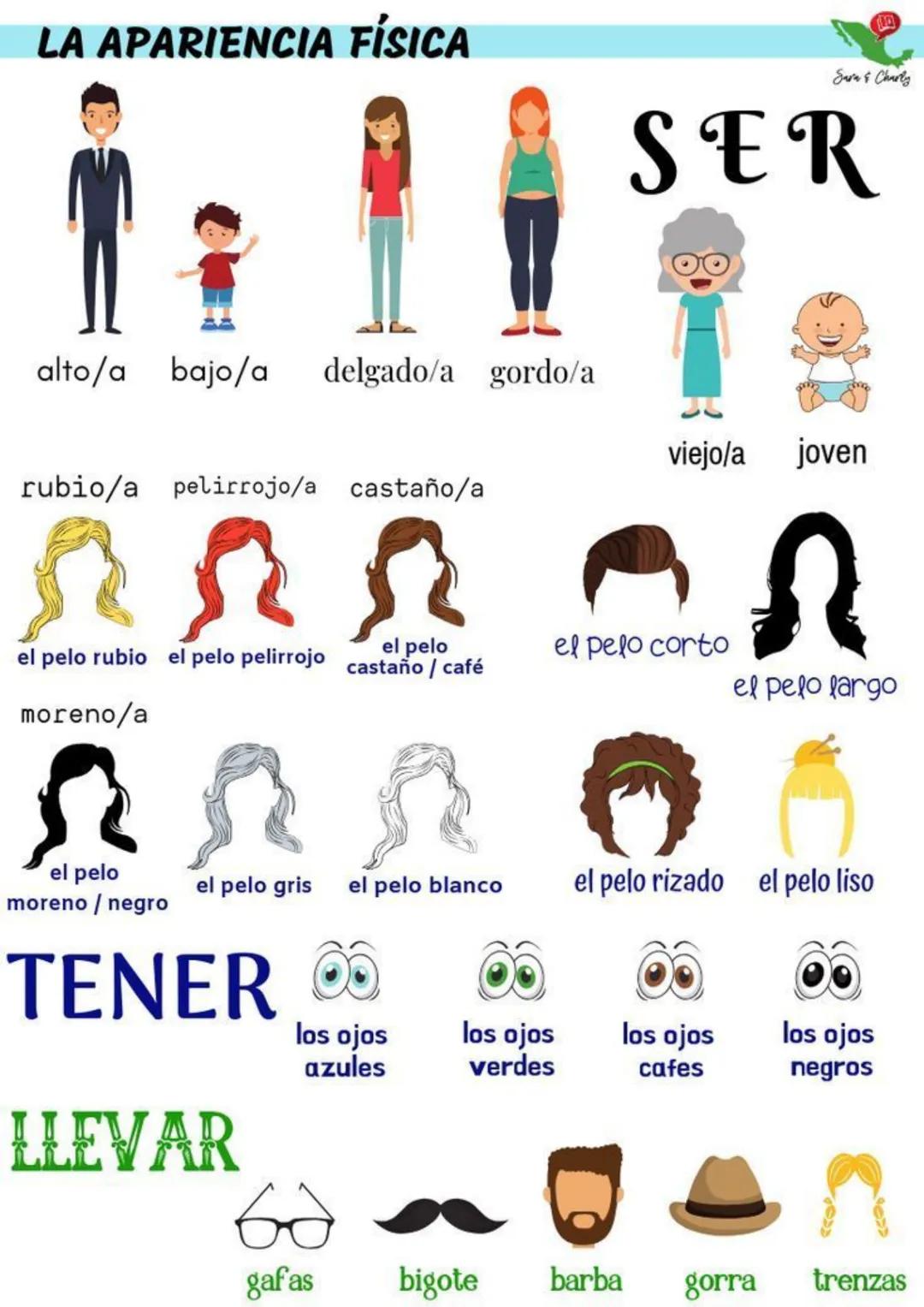 LA APARIENCIA FÍSICA
alto/a bajo/a delgado/a gordo/a
rubio/a pelirrojo/a castaño/a
el pelo rubio el pelo pelirrojo castaño / café
el pelo
mo
