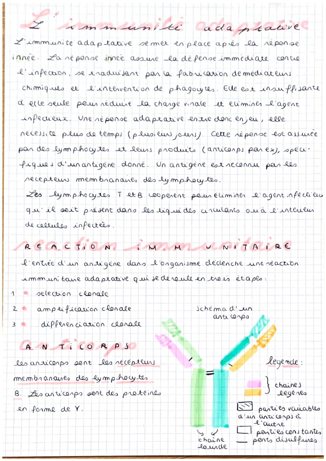 mmuniti ada
prative.
p
L'immunite adaptative se met en place après la réponse
innée. La ne pense innee assure la defense immediate
l'infecti