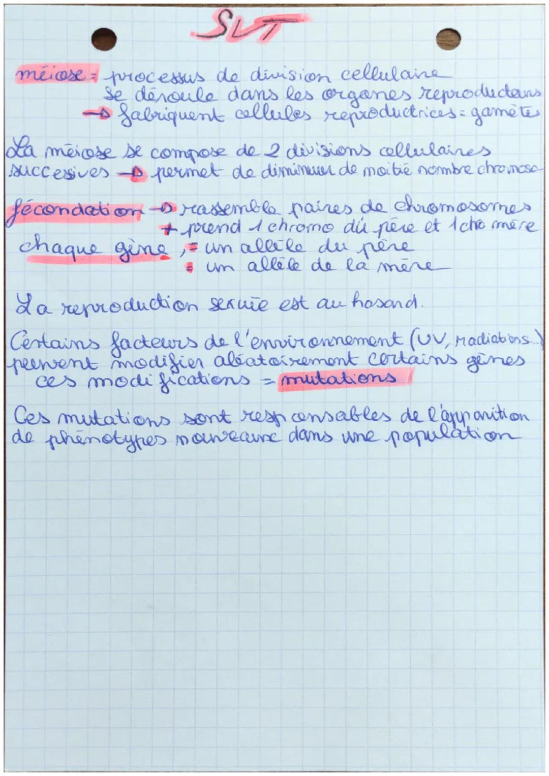 SUT

Définitions:

gene, c'est un "mocean" de chromosome
qui contient une informaticon porécise
Tin game est une portion de la
molecule d'AD