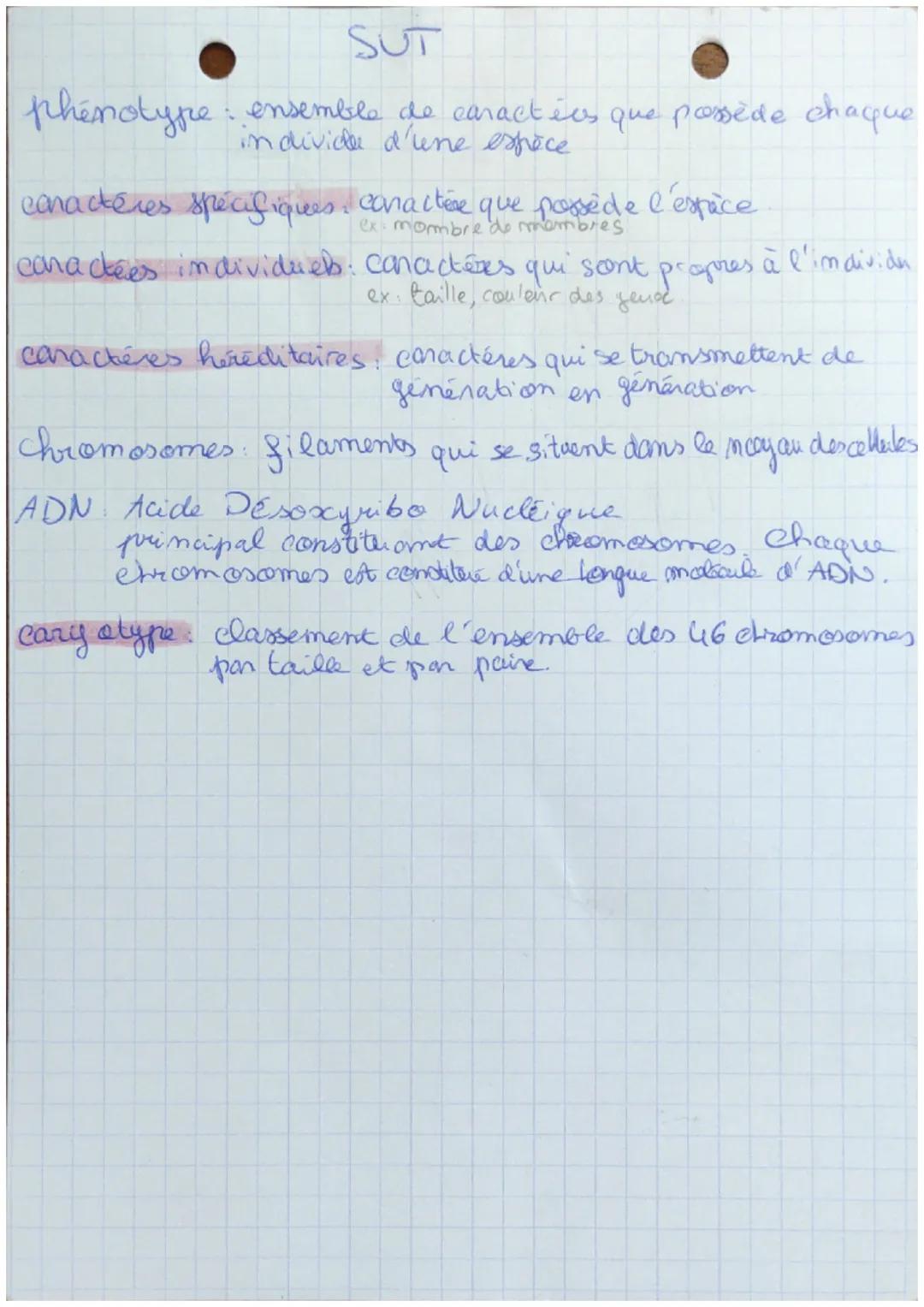 SUT

Définitions:

gene, c'est un "mocean" de chromosome
qui contient une informaticon porécise
Tin game est une portion de la
molecule d'AD