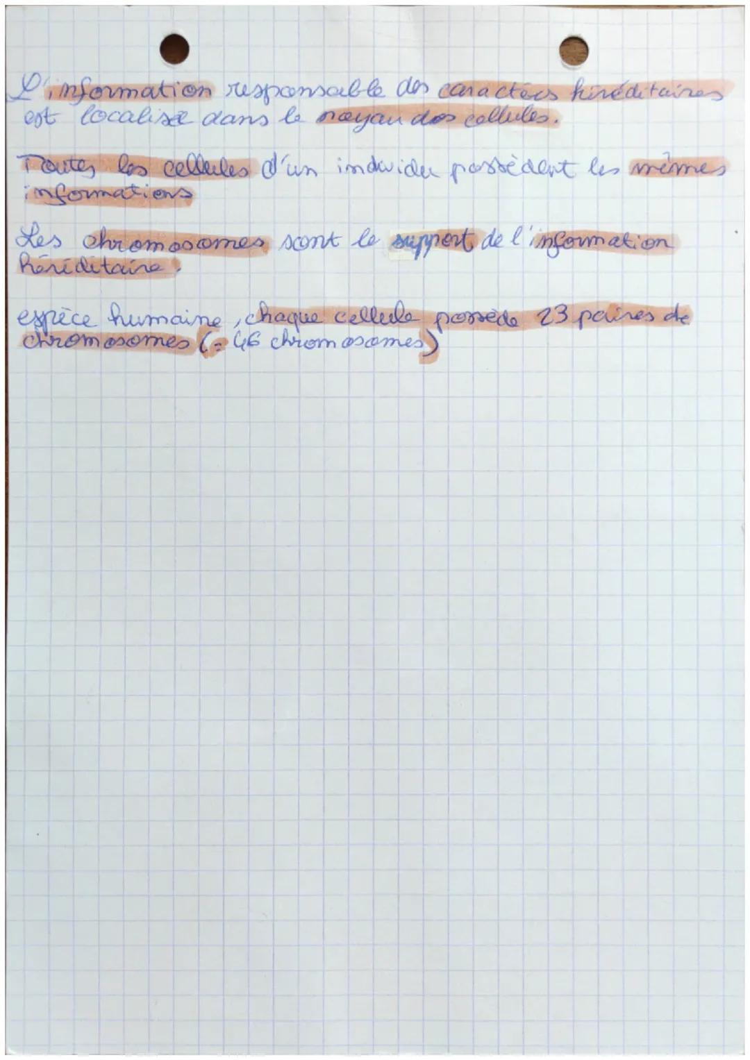 SUT

Définitions:

gene, c'est un "mocean" de chromosome
qui contient une informaticon porécise
Tin game est une portion de la
molecule d'AD