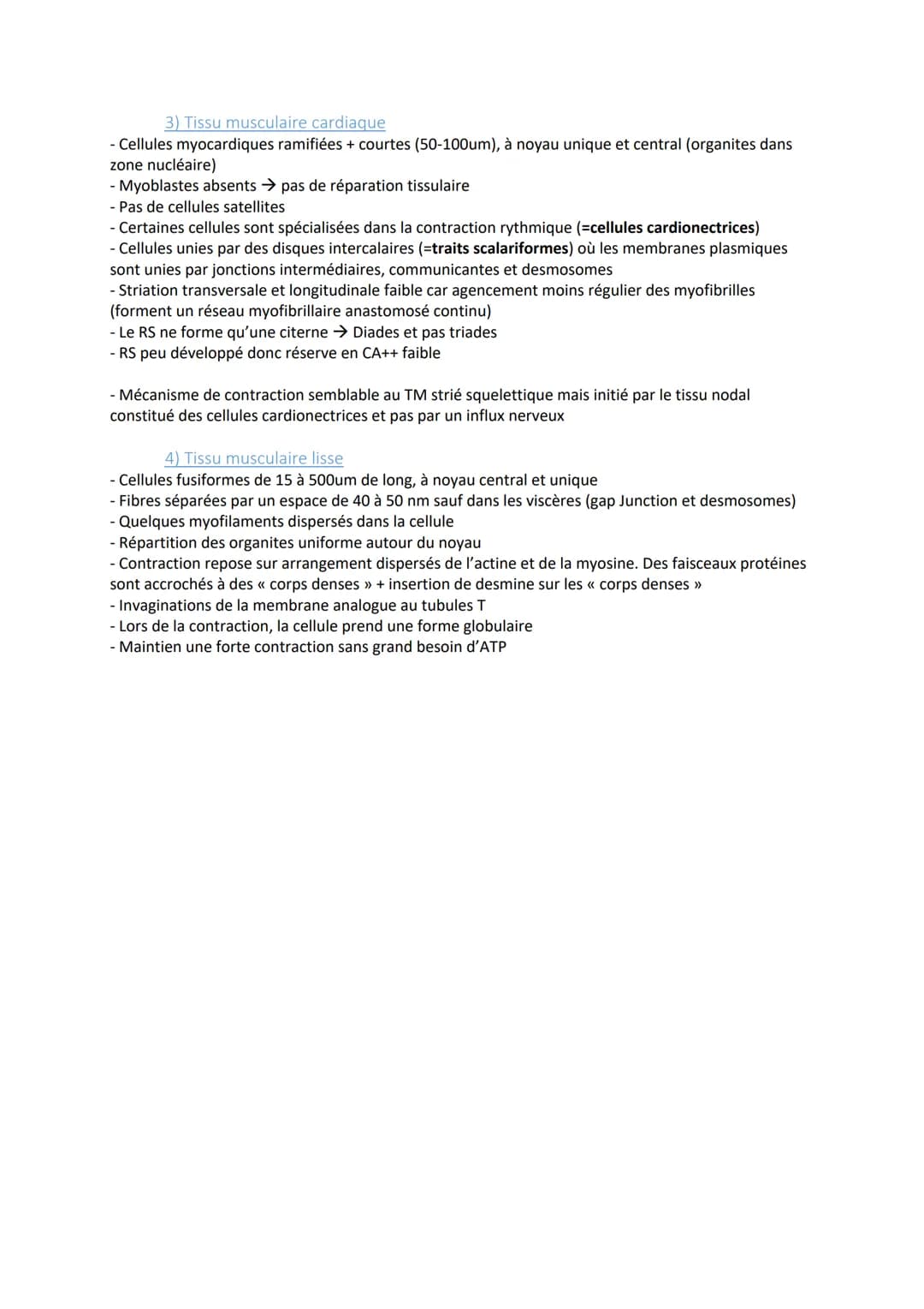 1) Introduction
- Association de fibres musculaires (=myocytes) contenant des myofibrilles (actine, myosine)
responsables de la contraction
