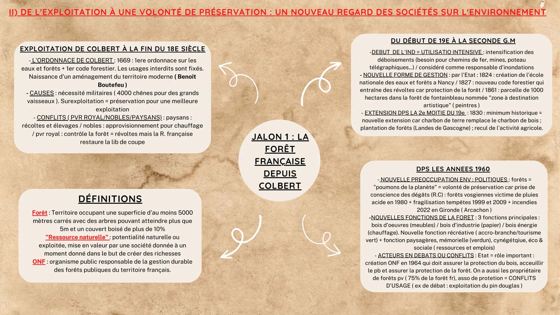 II) DE L'EXPLOITATION À UNE VOLONTÉ DE PRÉSERVATION : UN NOUVEAU REGARD DES SOCIÉTÉS SUR L'ENVIRONNEMENT
EXPLOITATION DE COLBERT À LA FIN DU