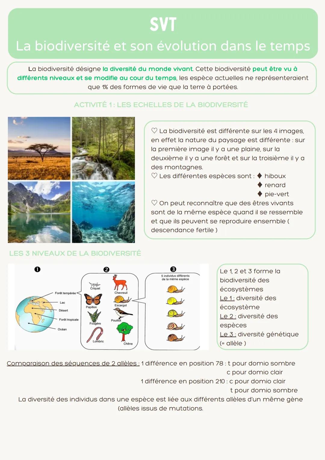 La Biodiversité 