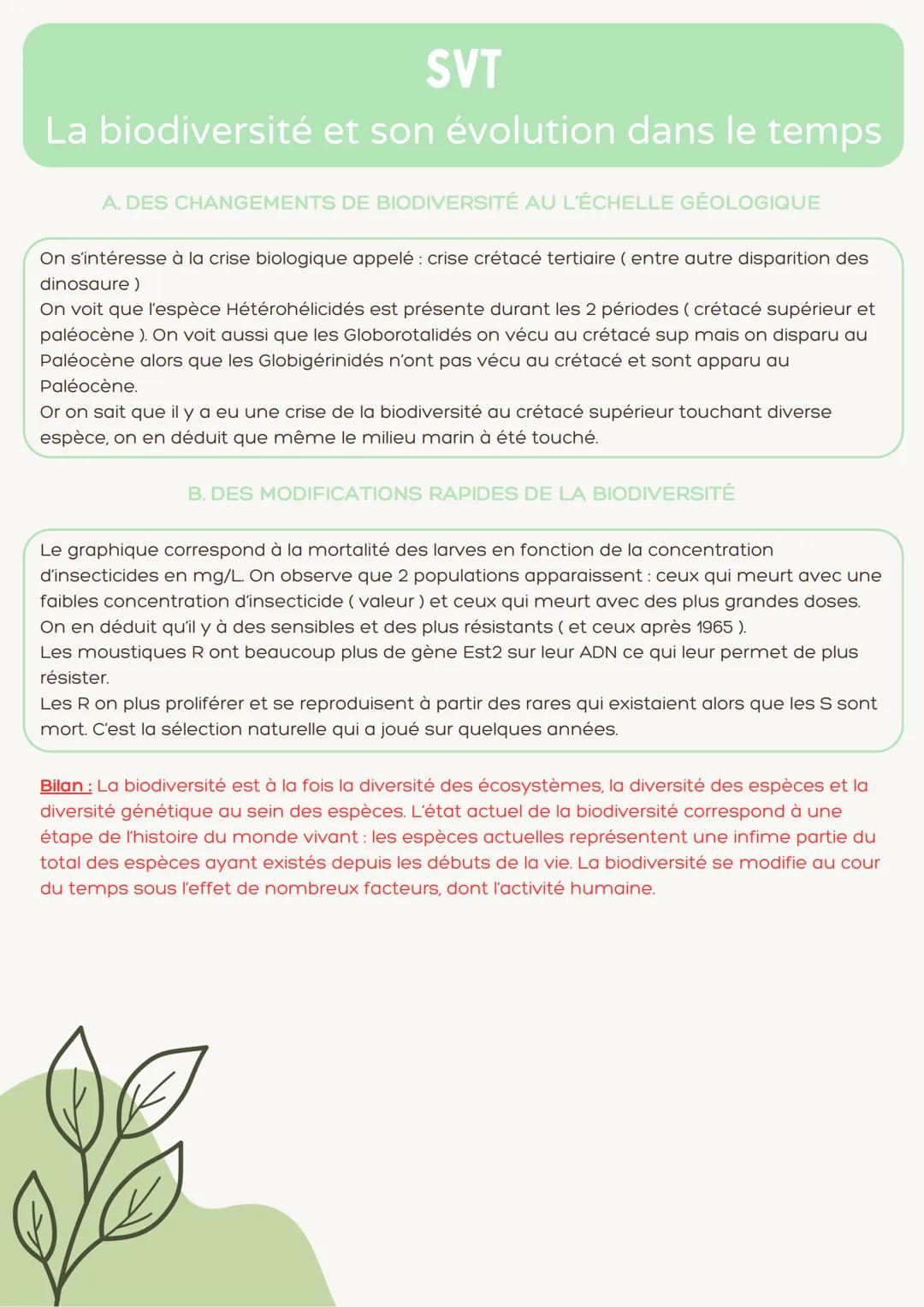 SVT

La biodiversité et son évolution dans le temps

La biodiversité désigne la diversité du monde vivant. Cette biodiversité peut être vu à