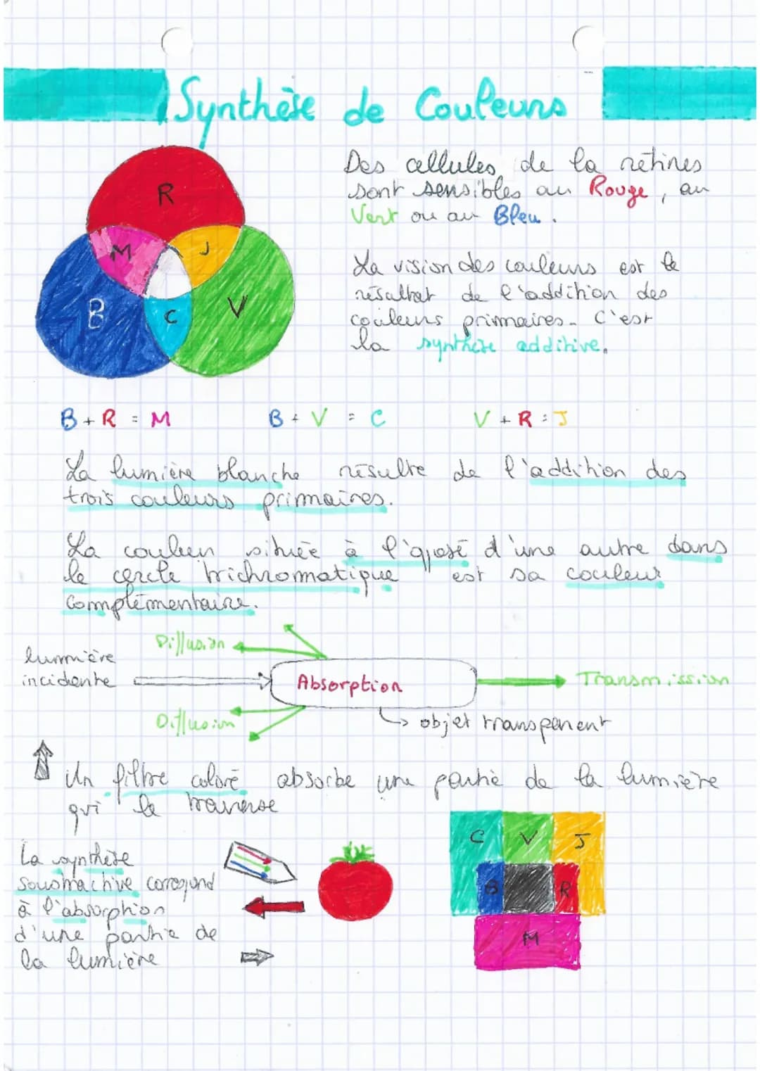 Synthèse de Couleurs
R
lumière
incidente
Des cellules de la retines
sont sensibles an
Vert ou au Bleu.
Rouge, an
B+R = M
La lumière blanche
