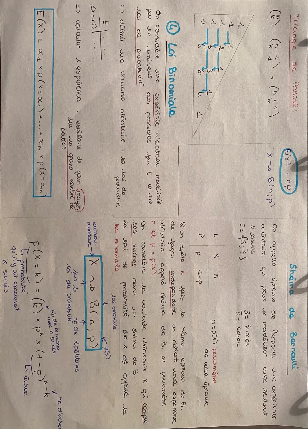 Comprendre la Loi Binomiale: Formules et Exemples