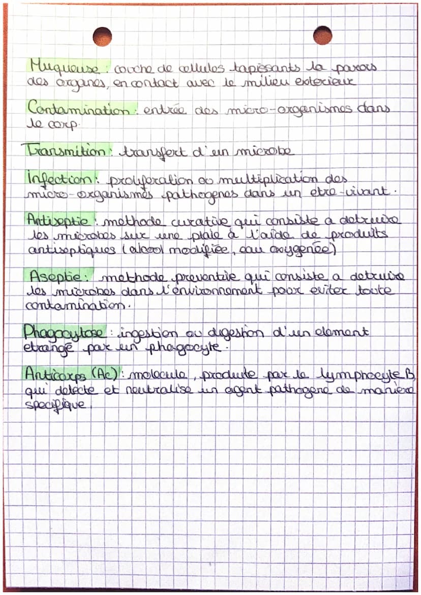 des
definitions
Caractère signe ou particularité present chez
¡
sen individu.
Phototype: ensemble des caracteres d'un individu
Chramosemes: 
