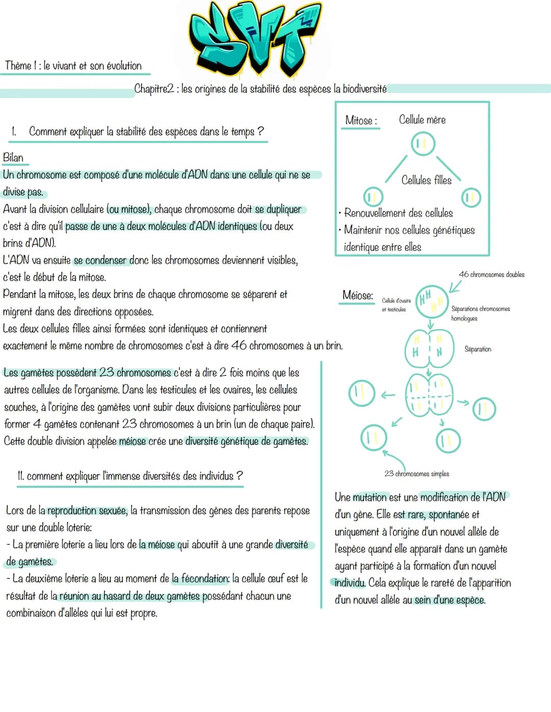SVE
Chapitre2: les origines de la stabilité des espèces la biodiversité
Mitose:
Thème 1: le vivant et son évolution
1. Comment expliquer la 