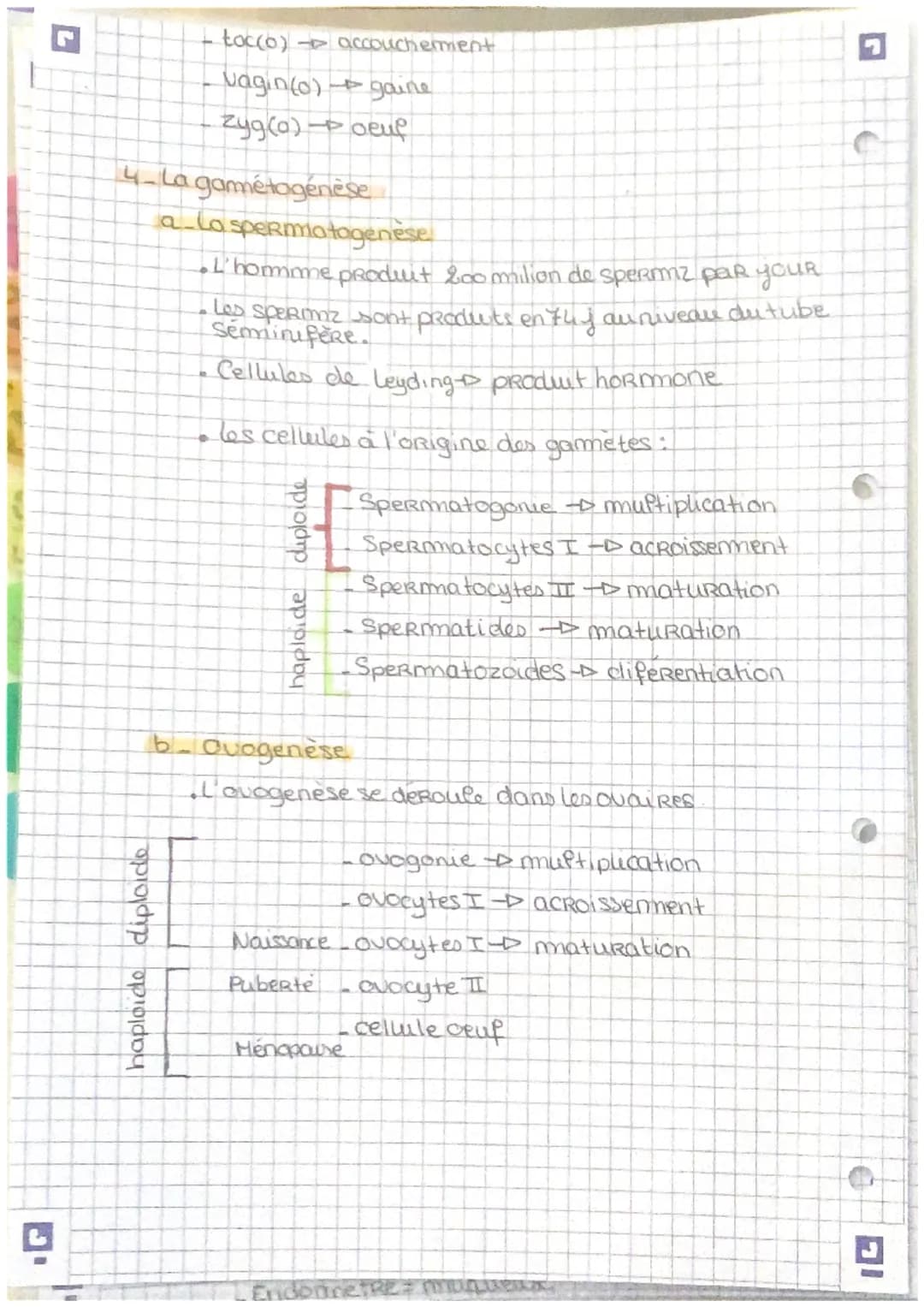 Biologie Anatomie

Anatomie des appareils Reproducteurs.

a. Apareil génital masculin

vesicule
séminale

Rectum

Glande de
Cowper

anus

Te