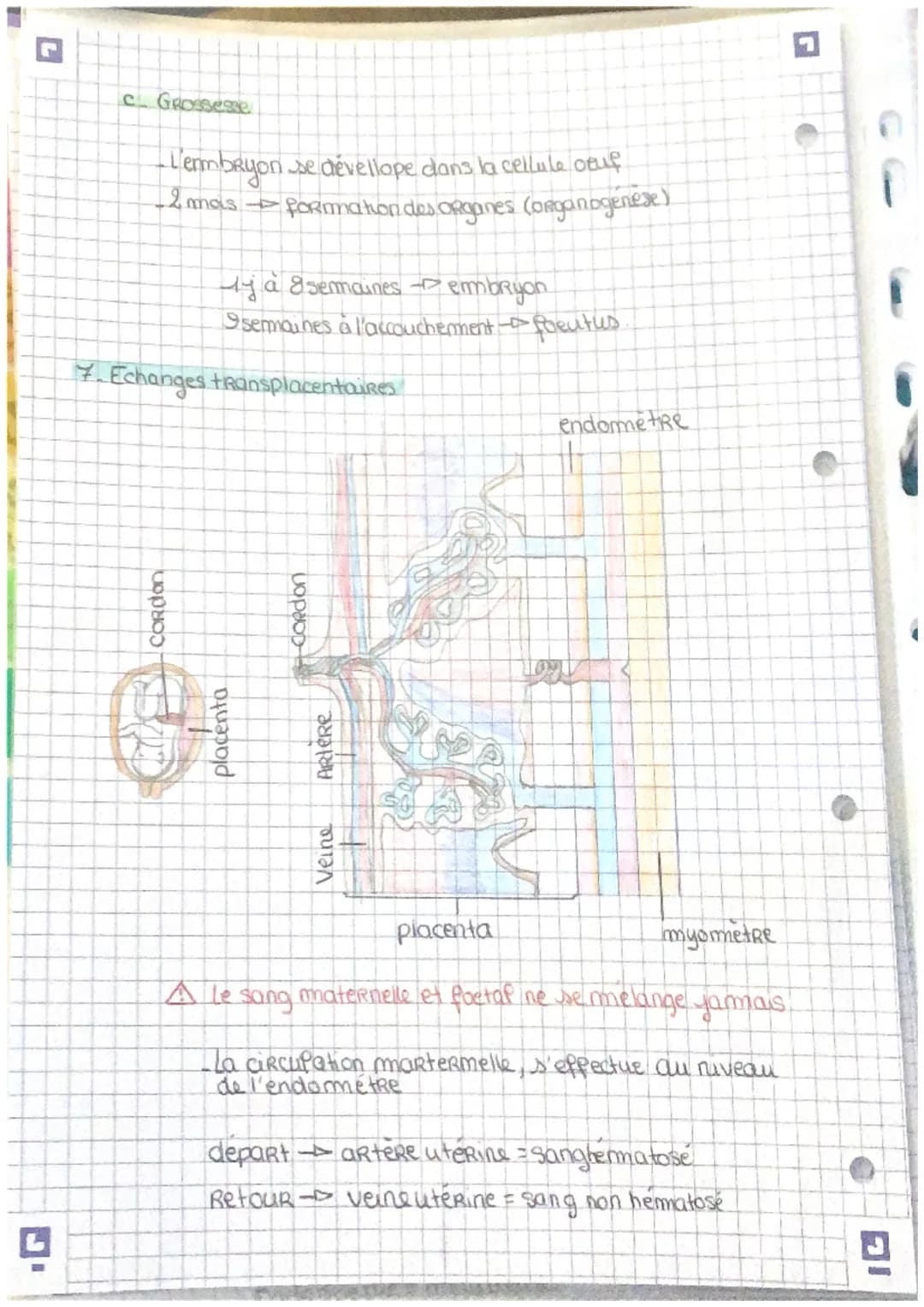 Biologie Anatomie

Anatomie des appareils Reproducteurs.

a. Apareil génital masculin

vesicule
séminale

Rectum

Glande de
Cowper

anus

Te