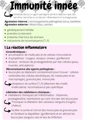 Know Immunité Innée thumbnail