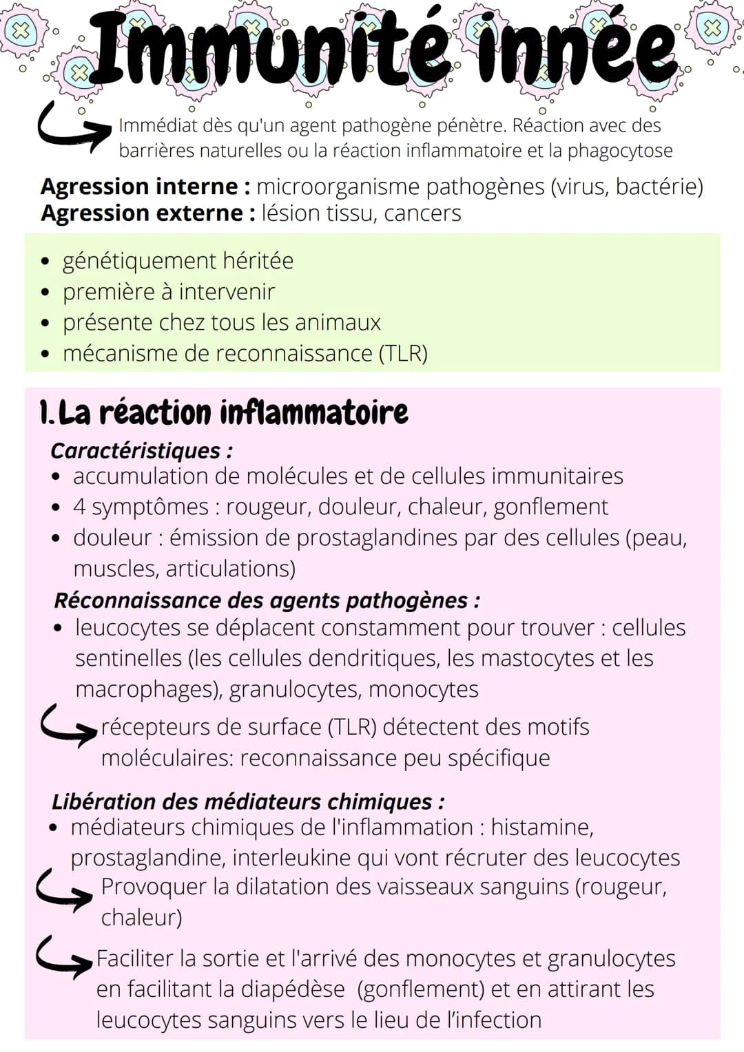 G
Agression interne : microorganisme pathogènes (virus, bactérie)
Agression externe : lésion tissu, cancers
Immunité innée
Immédiat dès qu'u