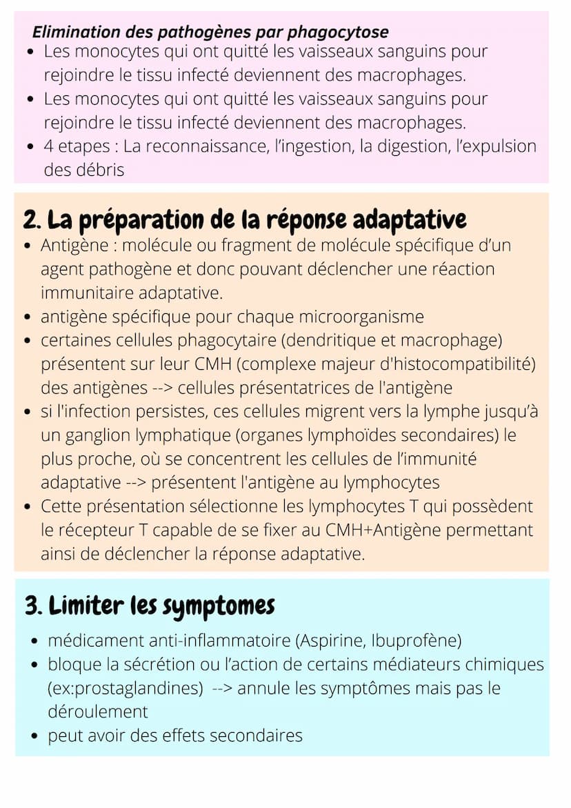 G
Agression interne : microorganisme pathogènes (virus, bactérie)
Agression externe : lésion tissu, cancers
Immunité innée
Immédiat dès qu'u