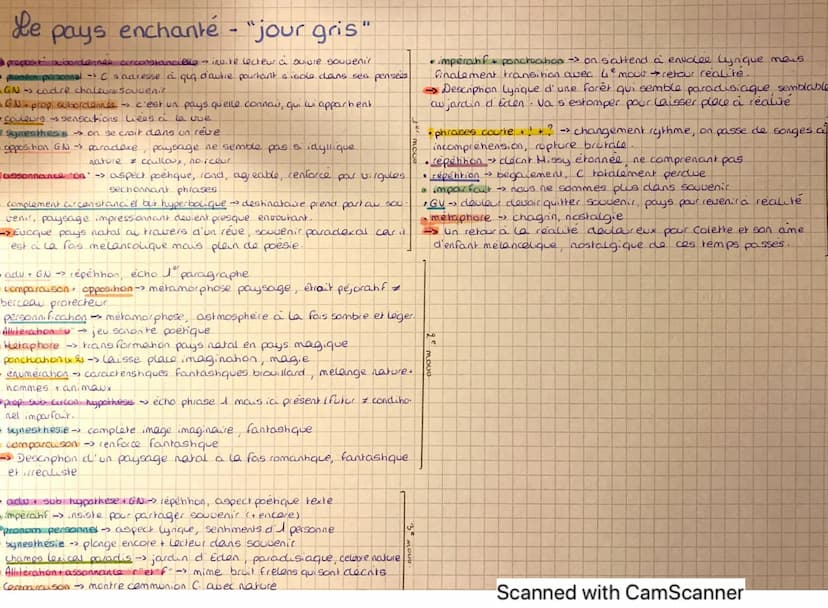 Le
enchante - "jour gris"
Colette est au bord de la mer, un jour où il fait gris, avec son amante Missy. Elle s'échappe
en pensée pour se re