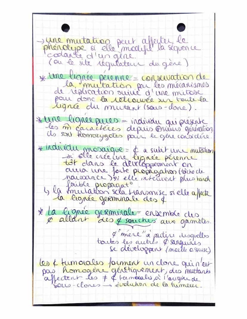 Partie 3:
Chap 1
génétique et évolution
L'ORIGINE DU GENOTYPE DES
INDIVIDUS!
La succession de mitoses produit un clone
ensemble de & génétiq
