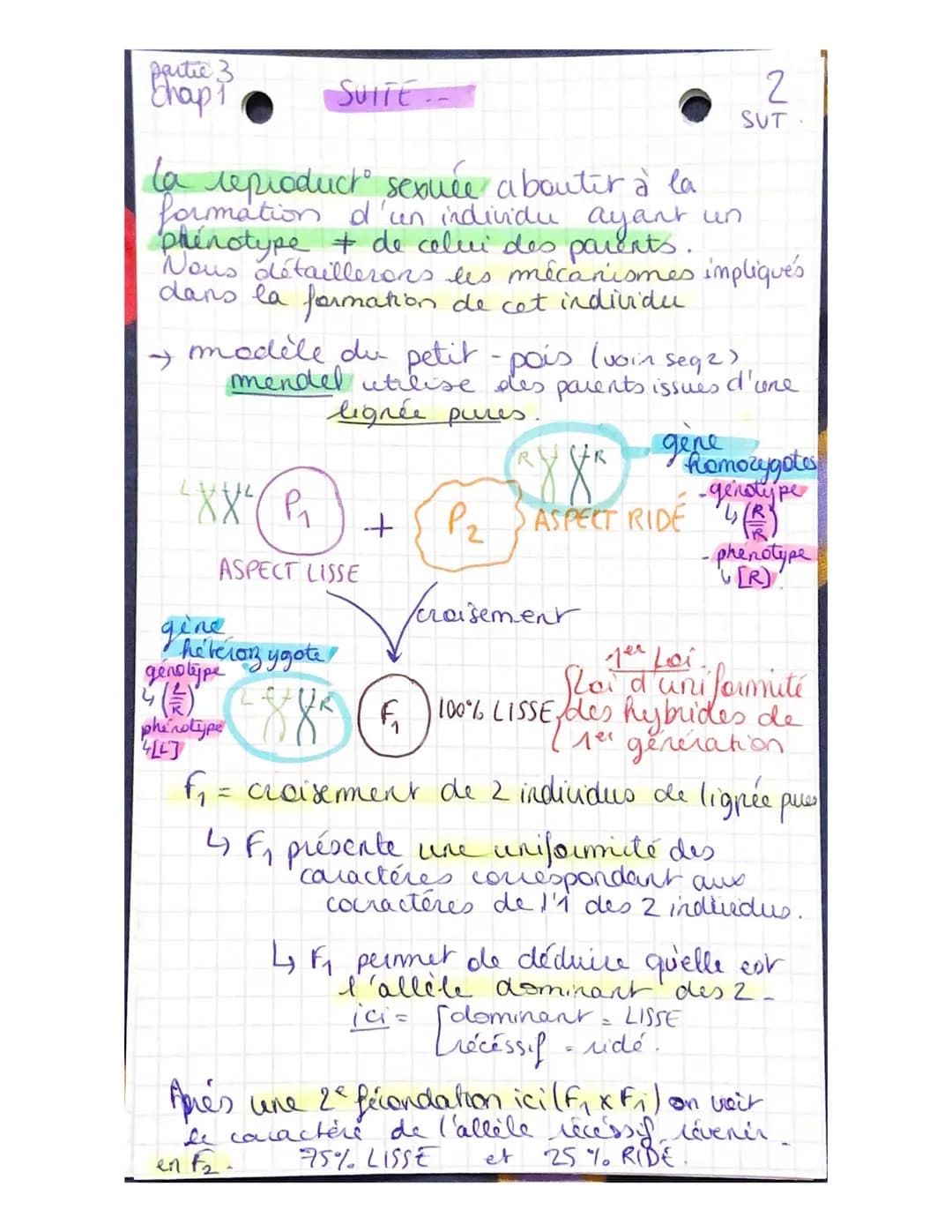 Partie 3:
Chap 1
génétique et évolution
L'ORIGINE DU GENOTYPE DES
INDIVIDUS!
La succession de mitoses produit un clone
ensemble de & génétiq