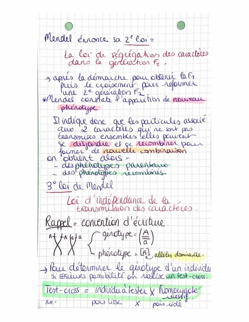 Partie 3:
Chap 1
génétique et évolution
L'ORIGINE DU GENOTYPE DES
INDIVIDUS!
La succession de mitoses produit un clone
ensemble de & génétiq