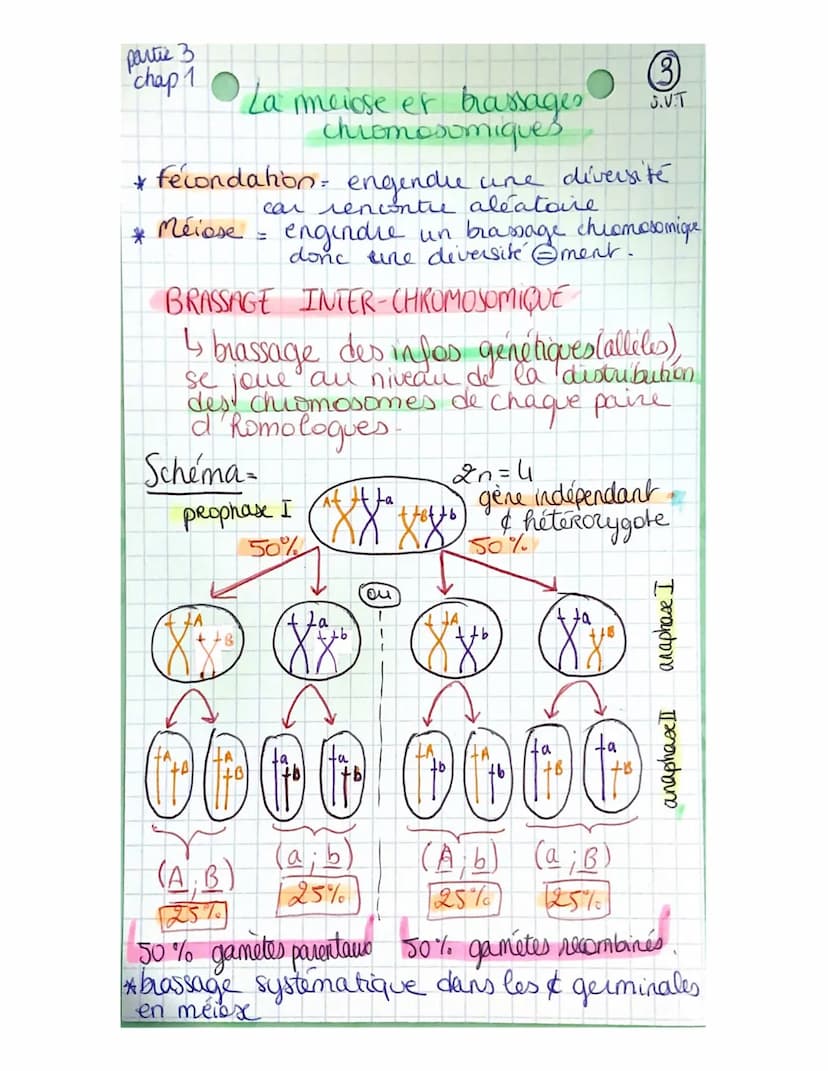 Partie 3:
Chap 1
génétique et évolution
L'ORIGINE DU GENOTYPE DES
INDIVIDUS!
La succession de mitoses produit un clone
ensemble de & génétiq