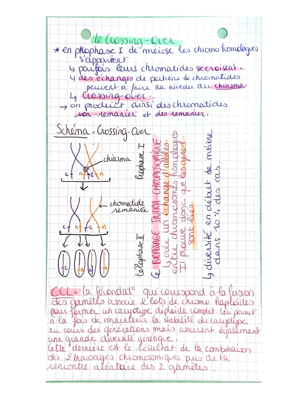 Partie 3:
Chap 1
génétique et évolution
L'ORIGINE DU GENOTYPE DES
INDIVIDUS!
La succession de mitoses produit un clone
ensemble de & génétiq