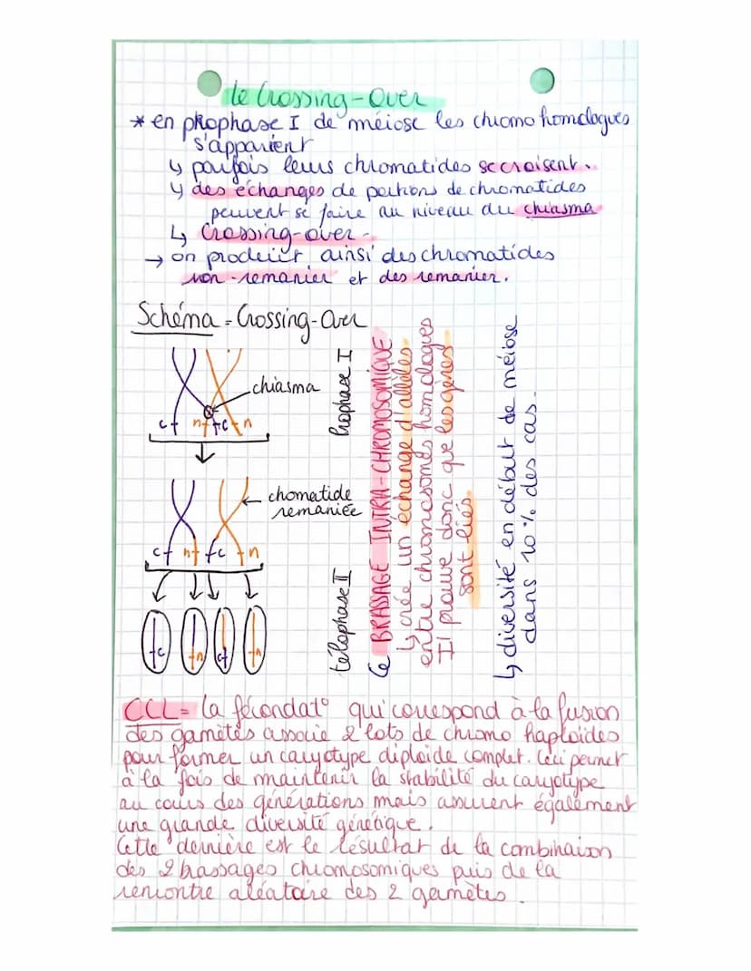 Partie 3:
Chap 1
génétique et évolution
L'ORIGINE DU GENOTYPE DES
INDIVIDUS!
La succession de mitoses produit un clone
ensemble de & génétiq