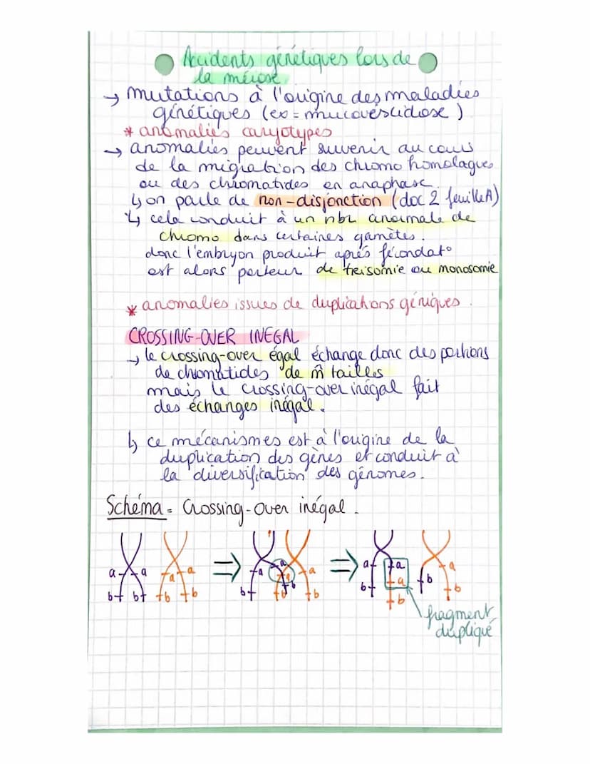 Partie 3:
Chap 1
génétique et évolution
L'ORIGINE DU GENOTYPE DES
INDIVIDUS!
La succession de mitoses produit un clone
ensemble de & génétiq