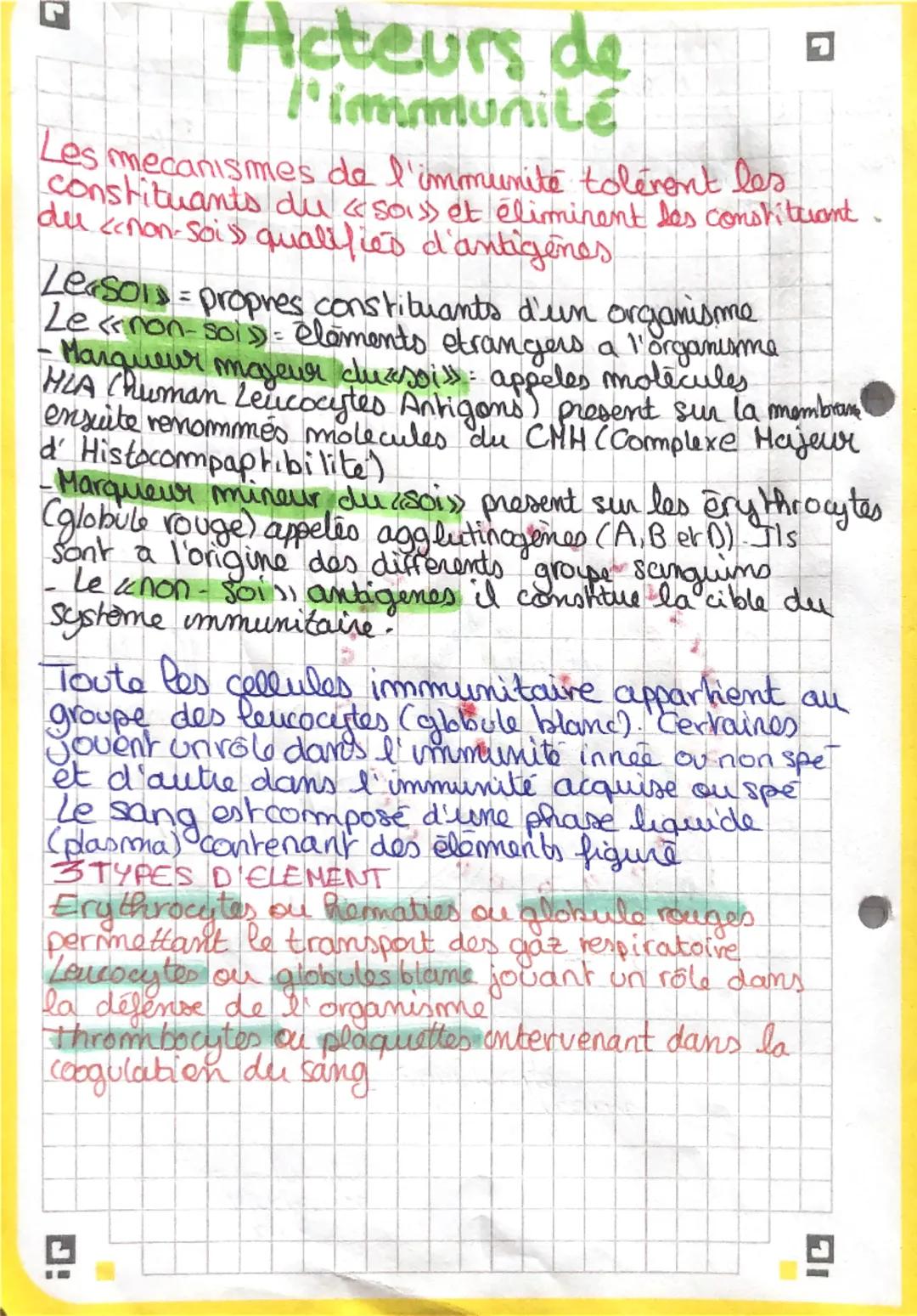 # Acteurs de
l'immunité

Les mecanismes de l'immunité tolérent les
constituants du «sos» et éliminent les constituant.
du canon-sois qualifi