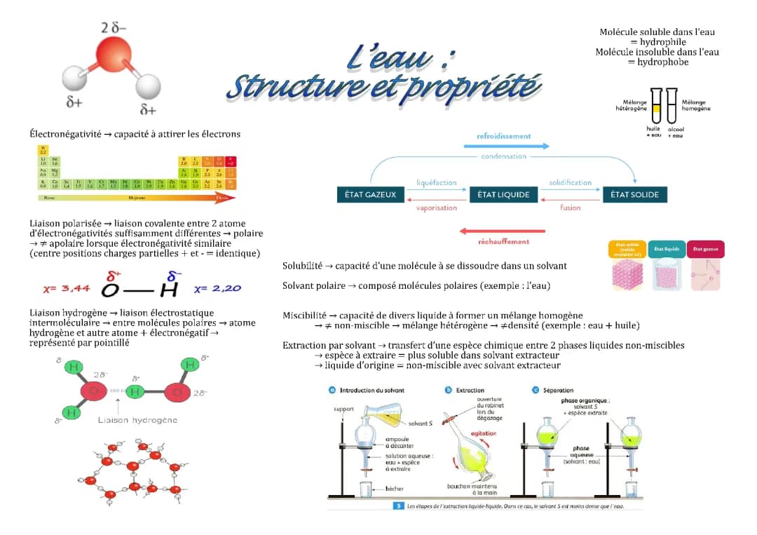 Fiche ST2S Physique-Chimie : L'eau, structure et propriétés 