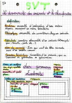 Know La diversité des individus et la classification  thumbnail