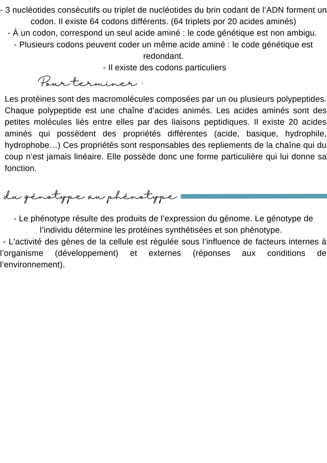 L'EXPRESSION du patrimoine Génétique
Introduction
Dans la cellule eucaryotes, la molécule d'ADN reste dans le noyau or les
protéines sont sy
