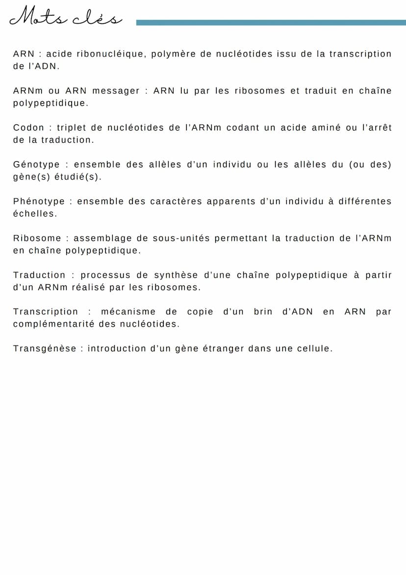 L'EXPRESSION du patrimoine Génétique
Introduction
Dans la cellule eucaryotes, la molécule d'ADN reste dans le noyau or les
protéines sont sy