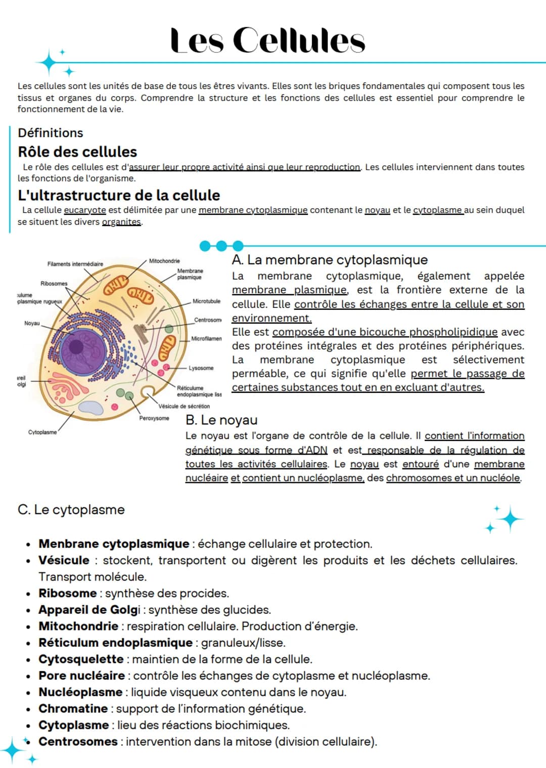 Les Cellules
Les cellules sont les unités de base de tous les êtres vivants. Elles sont les briques fondamentales qui composent tous les
tis