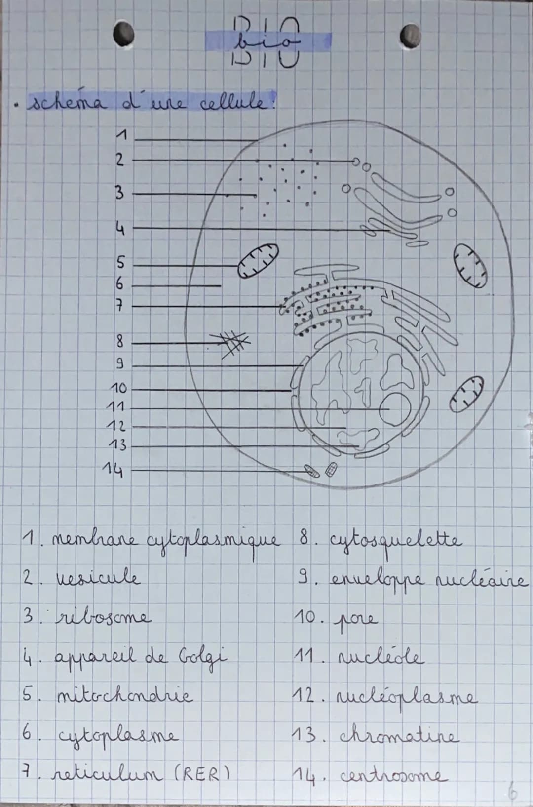 -
DIU
schema d'une cellule!
2
3
4
5
6
17
8
9
10
11
12
13.
14
مشعل
**
6. cytoplasme
7. reticulum (RER).
1. membrane cytoplasmique 8. cytosque