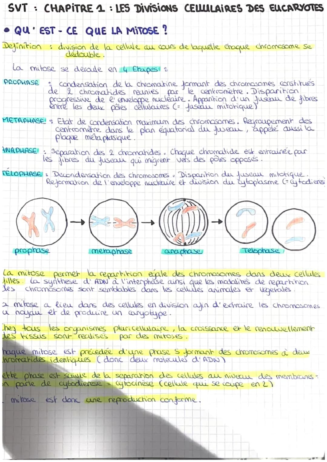 SVT: CHAPITRE 1: LES DivisiONS CELLULAIRES DES EUCARYOTES
• QU'EST-CE QUE LA MITOSE?
Definition division de la cellule au cours de laquelle 