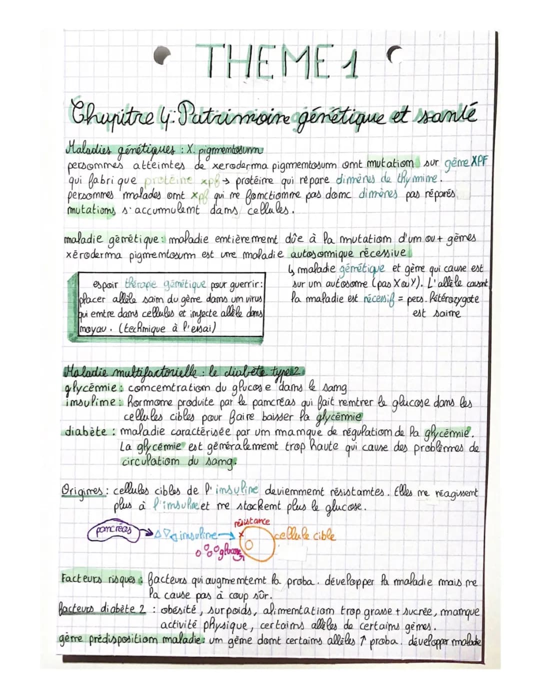 Les Maladies Héréditaires et les Risques du Diabète