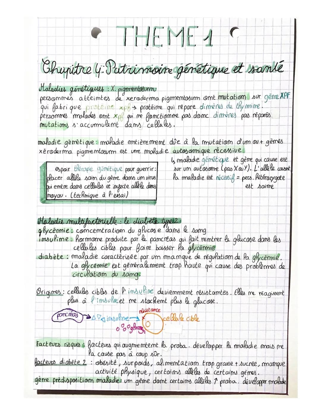 • THEME 1
Chupitre 4. Patrimoine génétique et santé
Maladies
génétiques : X. pigmentosumm
persommes atteimtes de xeroderma pigmentosum omt m