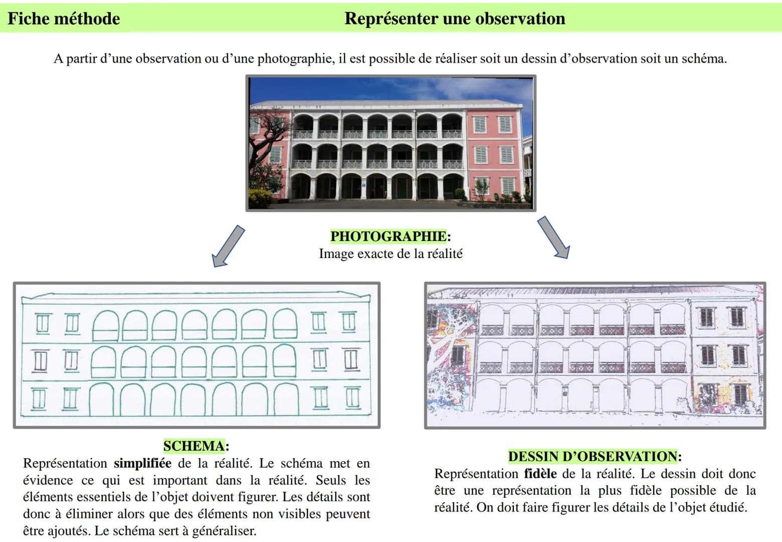 Fiche méthode
Représenter une observation
A partir d'une observation ou d'une photographie, il est possible de réaliser soit un dessin d'obs