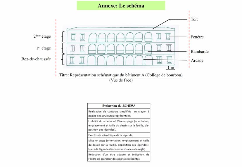 Fiche méthode
Représenter une observation
A partir d'une observation ou d'une photographie, il est possible de réaliser soit un dessin d'obs