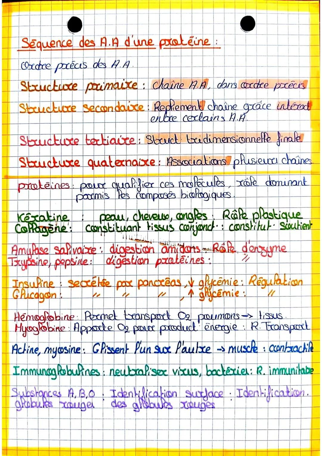 ESAE
●Protides
Protides
+
Acides aminés peptides
(molécule (disaine
de base)
poco teines
(centaine
A.A)
cho
Macromoléculer => molécule de gr