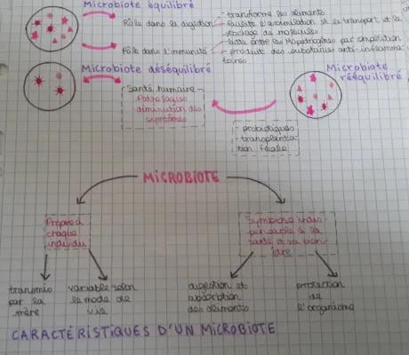 Know Microbiote thumbnail