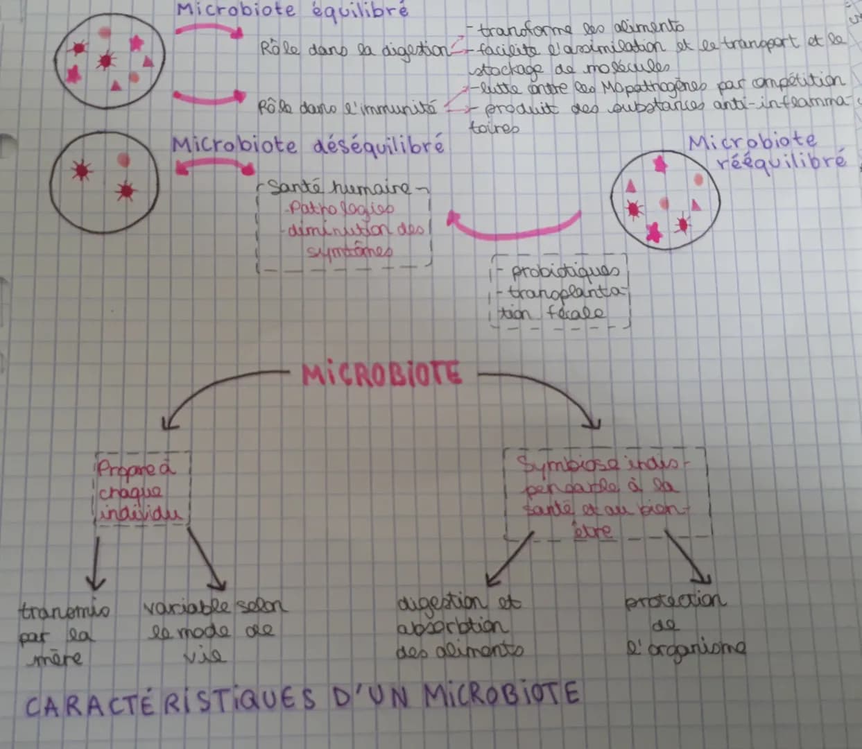 Microbiote équilibré
transmis
par la
mère
Rôle dans l'immunité.
Microbiote déséquilibré
- Santé humaine~
KL
Propre a
chaque
individu
--trans