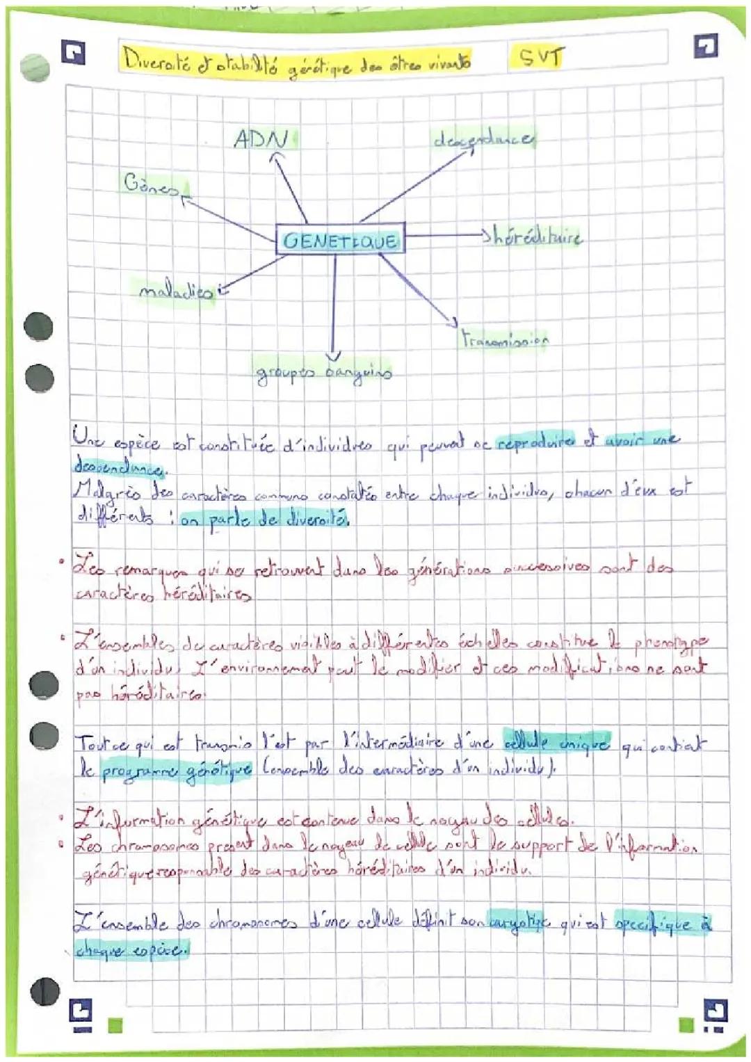 Diversité et stabilité génétique des êtres vivants