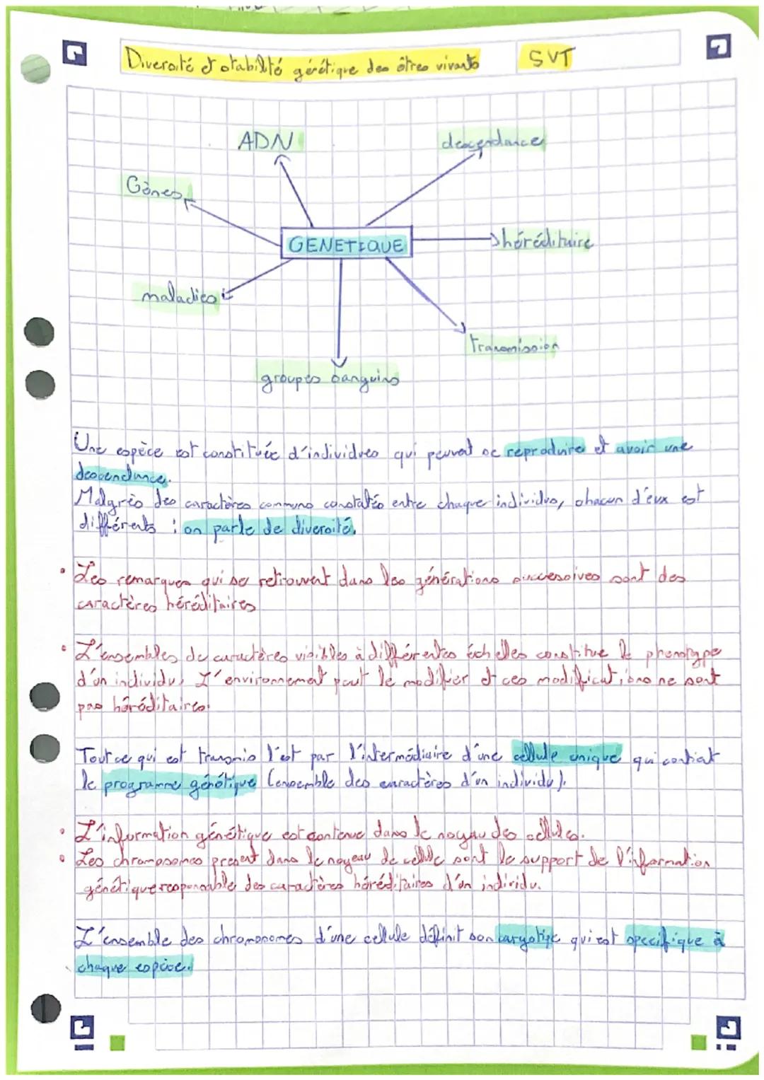 C
Diversité et stabilité génétique des ôtres vivanto
9
Ganes
maladies i
ADN
• Leo
caracteres héréditaires
GENETIQUE
groupes sanguins
Malgrès