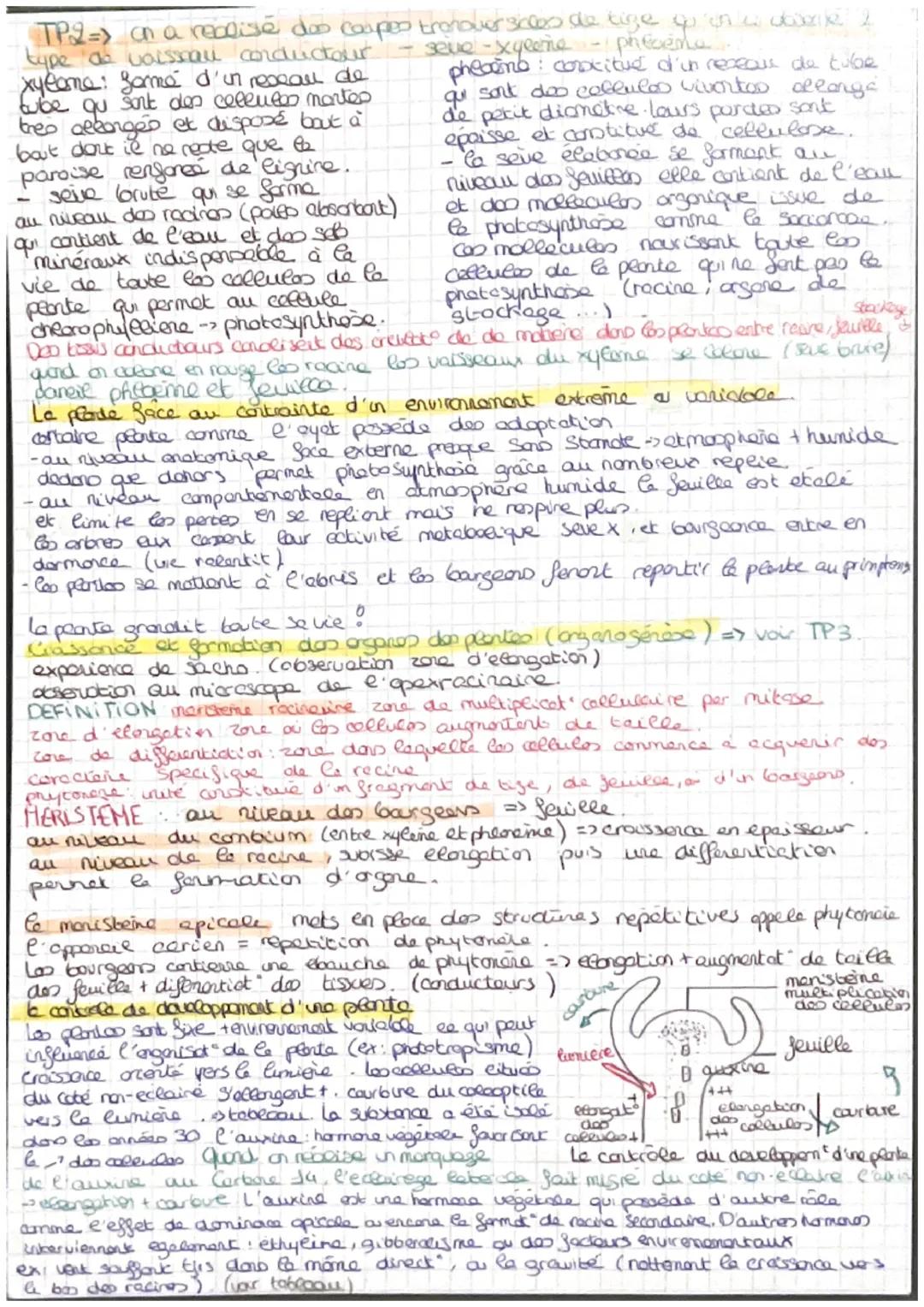 LES PLANTES
De to planta sauvage à la plate donostiqued Chap 1 & organixke" faneline
utilités
dredomors
alimentation, energic, construction,