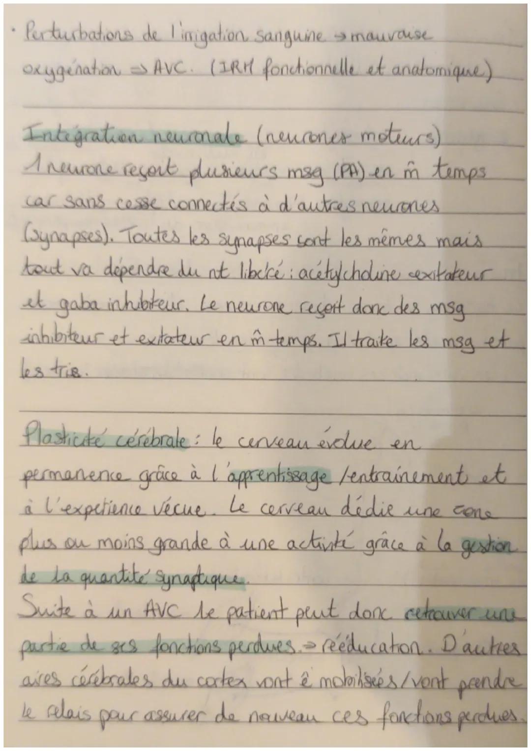 Hourement involontaire : le réflexe.
=> réflexe myotatique, un arcréflexe.
contraction du muscle à son propre étirement.
→ dépend de la moel