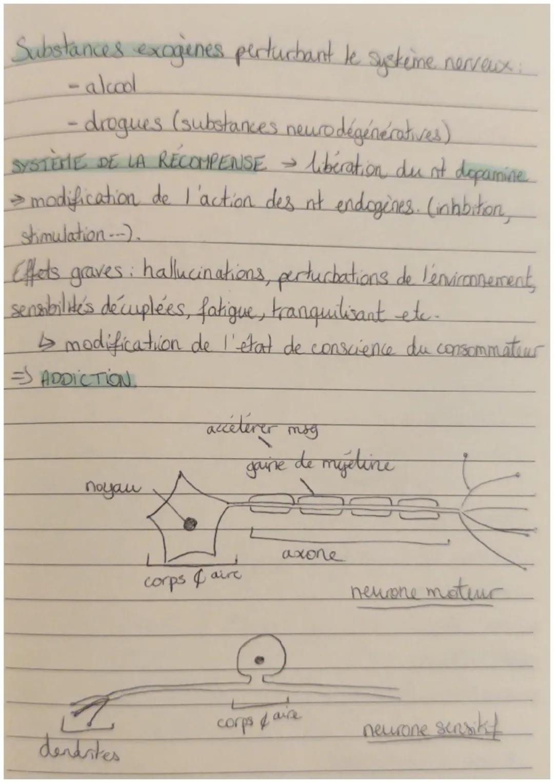 Hourement involontaire : le réflexe.
=> réflexe myotatique, un arcréflexe.
contraction du muscle à son propre étirement.
→ dépend de la moel
