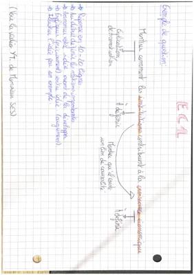 Know Méthodologie EC1 et EC2 thumbnail